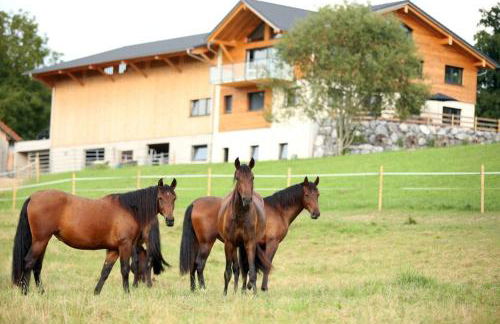 Linda‘s Ferien-Pferdehof - Foto 2