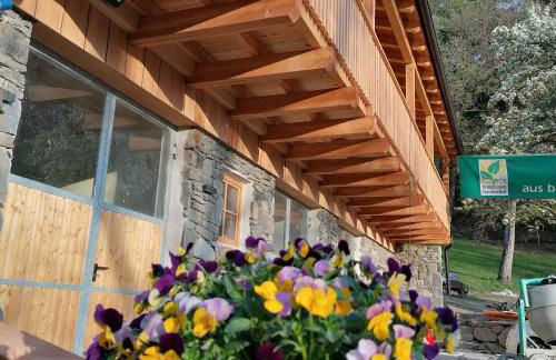 NEUE Ferienwohnungen auf dem Gebreitnerhof, Urlaub auf dem Bauernhof - Photo 4