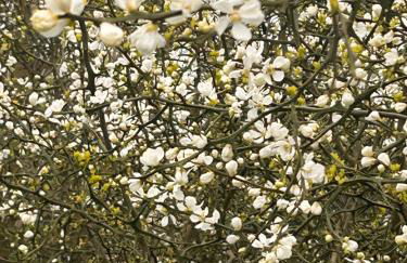 agriturismo zibramonda - Foto 41