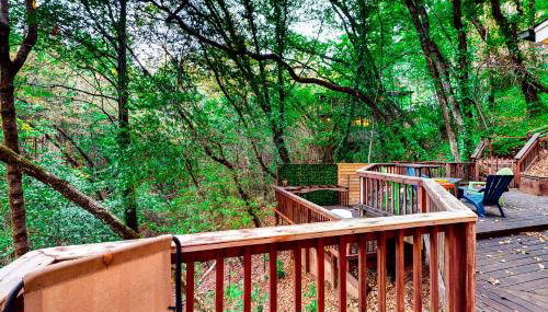 The Lazy Bear - Foto 4