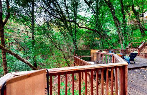 The Lazy Bear - Foto 4