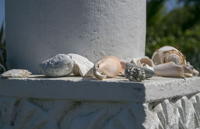 Villas Cabuya Beach & Forest - Foto 72