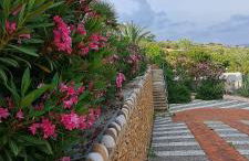 Passione Mare - Foto 19