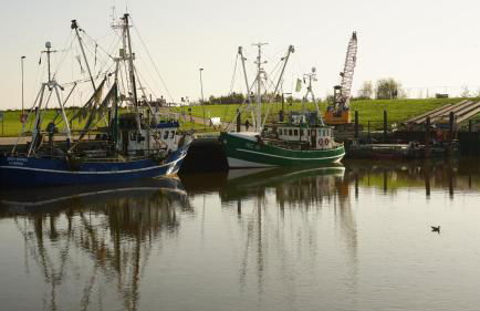 Ferienwohnung Neumann - Foto 22