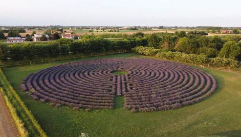 La Tenuta Va Oltre - Foto 4, Garden, Garden view