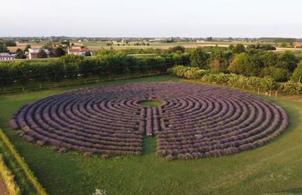 La Tenuta Va Oltre - Foto 4