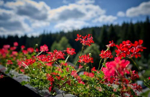 Haus Kuchler - Foto 10