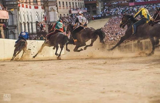 Residence Arianna - Foto 53