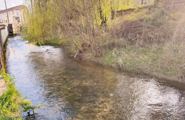 L'écrin des Forges maison cosy 1 à 6 voyageurs - Photo 35