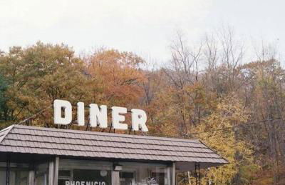 Panther Mountain Lodge - Photo 12