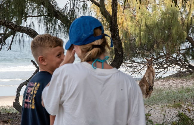 On the Beach Resort Bribie Island - Photo 73