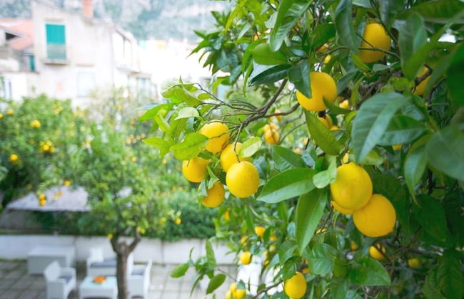 Casa Dorotea - Foto 34