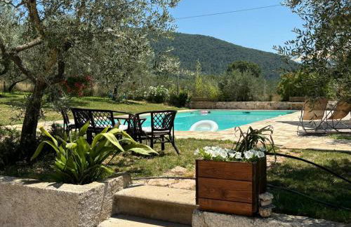 Uliveto Benedetti - Foto 5