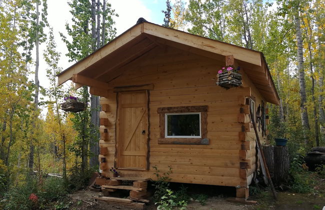 Blackburn Cabins - Photo 11