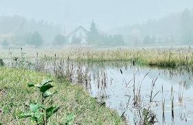 Gospodarstwo Agroturystyczne Zasadkowe Bory - Foto 29