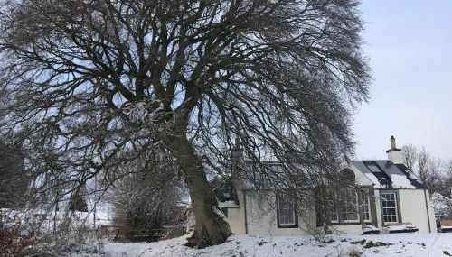 Gorgeous boutique off-grid cottage near Peebles - Foto 4