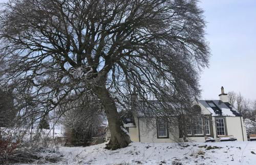 Gorgeous boutique off-grid cottage near Peebles - Foto 4