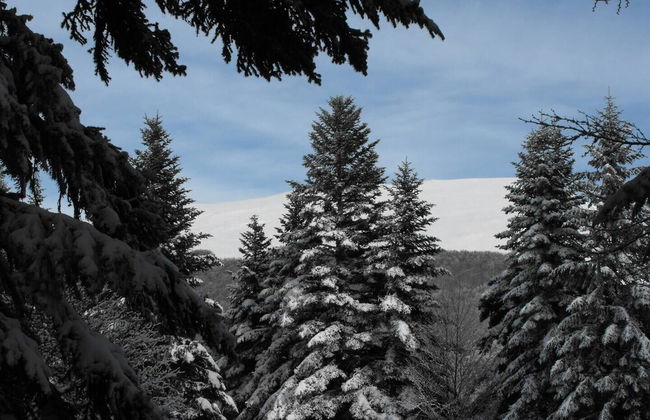 Vercors Intense - Foto 38