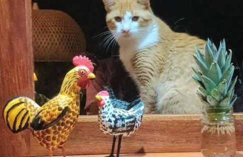 CasAmar Pé na Areia em Condomínio Beira Mar - Photo 29