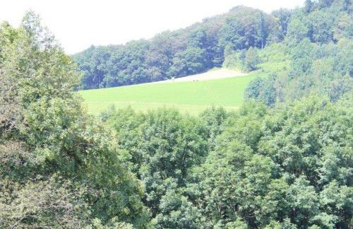 Ferienwohnung Rimbach - Foto 18