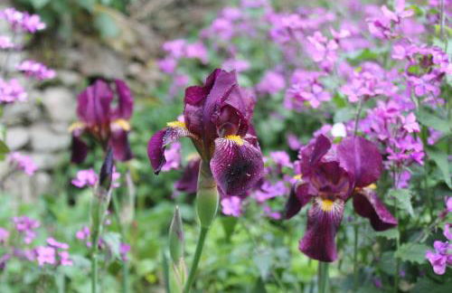 Maison Mille Fleurs - Foto 35