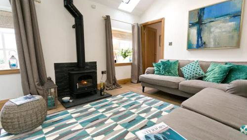 Oyster Catcher - Photo 2