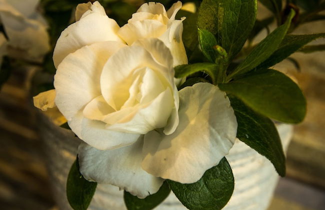 Gallery Apartments - Foto 31