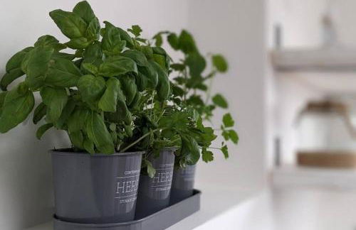 Modern cosy apartment walking distance to many cove beaches and coast path walks as well as the famous Helford river - Foto 36