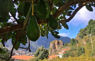 Northern Air House - Foto 58