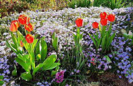 Chez Vovone 3 étoiles clévacances - Foto 52