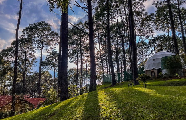 Las Morenas - Tres Lunas Domo - Foto 41