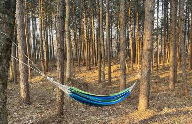 Evergreen Escapes 4 BR with Game Room, Firepit near Kalahari and Camelback - Foto 52