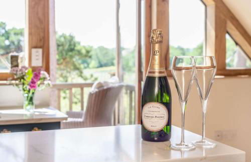 Vineyard View - Otium Wine Estate - Foto 16