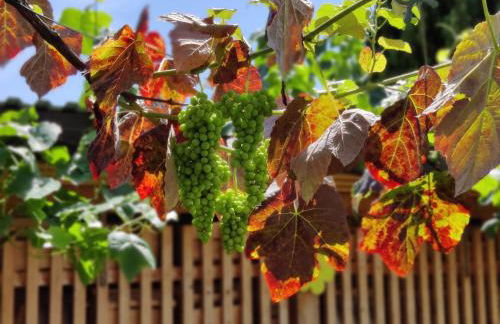 Ferienwohnung Edersonne - Foto 6