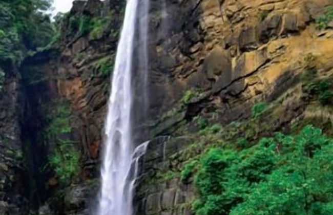 Clovefield Villa - Foto 28