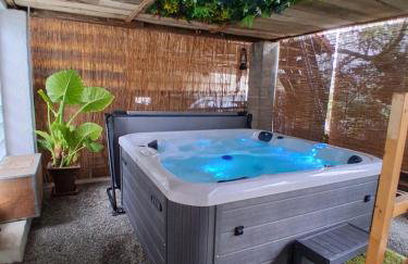 Gîte, jacuzzi & vin au grenier de Madiran - Photo 1