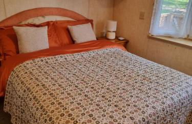 The Duck - Free Fishing, pets welcome - static caravan in Clare, Suffolk - Foto 8