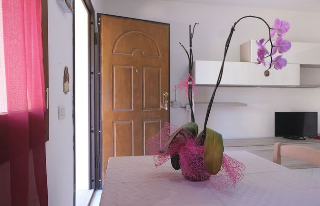 Aria di Vacanza - Zenzero - Photo 18