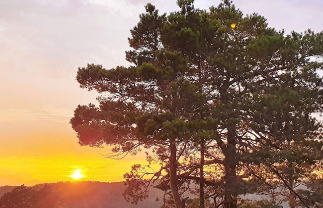 8 Person Holiday Home in Risor-by Traum - Foto 25