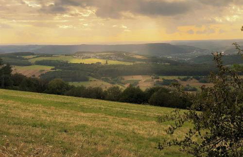 Pellinger-Hof - Foto 32