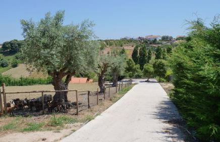 Casa Alfazema, Quinta Carmo - Alcobaça - Nazaré - Foto 24