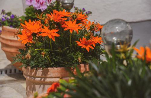 Apartments Haus Hagen - Photo 1