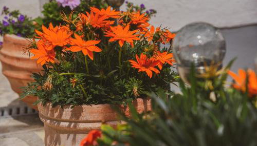 Apartments Haus Hagen - Foto 1, Garden