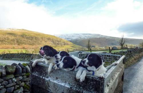 Grange Cottage - Foto 12