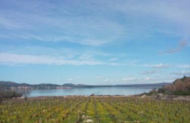 Apartment Marko - Foto 40