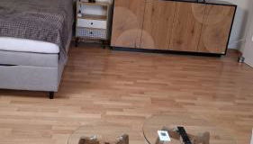 Lion Flat 2 Zimmer Wohnung in Vohburg mit Büro - Foto 3