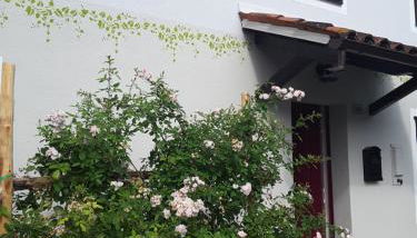 Le Giuggiole 5 posti letto in una casa ricca d'atmosfera - Foto 2