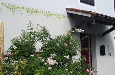 Le Giuggiole 5 posti letto in una casa ricca d'atmosfera - Foto 2