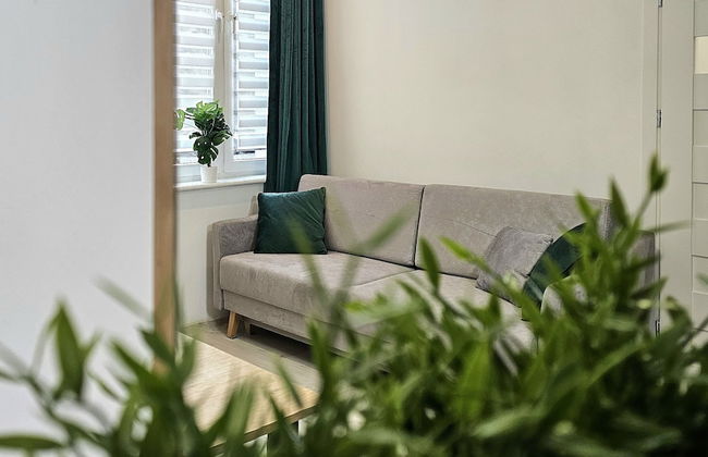 Studio Bajka - 365PAM - Foto 7