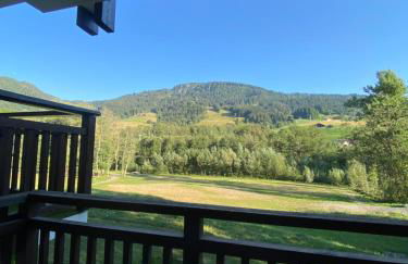 Studio face aux pistes - Foto 12